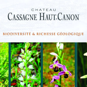 ATELIER «BIODIVERSITÉ et RICHESSE GÉOLOGIQUE»